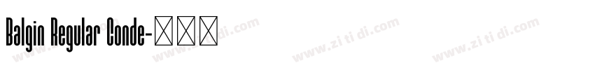 Balgin Regular Conde字体转换